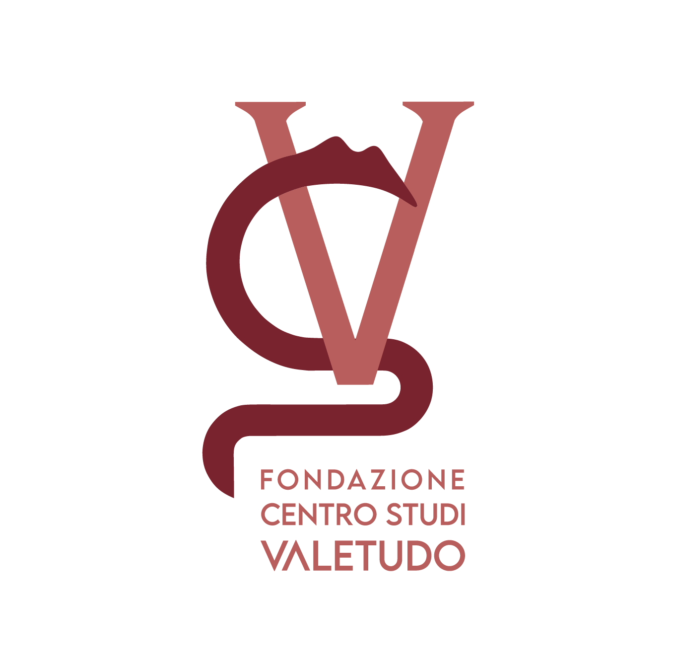 Fondazione Centro Studi Valetudo